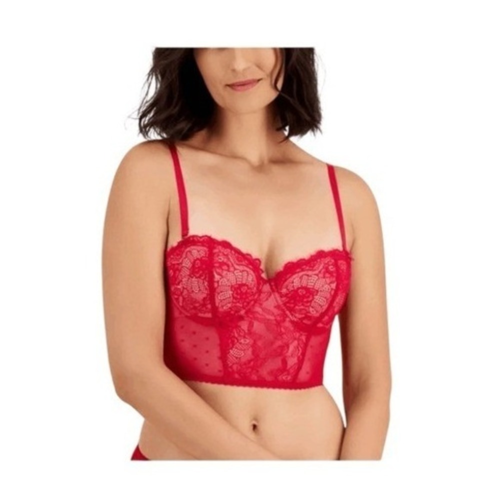 INC International Concepts Red Lace Pointelle Mesh Bustier L